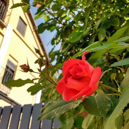 Casa Dei Frati Hotel อัสตี ภายนอก รูปภาพ